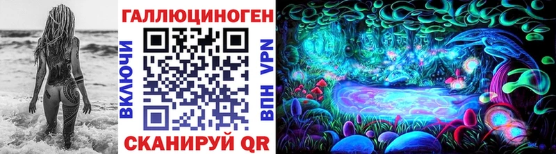 где найти   Каневская  Галлюциногенные грибы Cubensis 